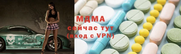 spice Инта