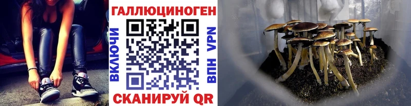 Псилоцибиновые грибы Magic Shrooms  Кораблино 